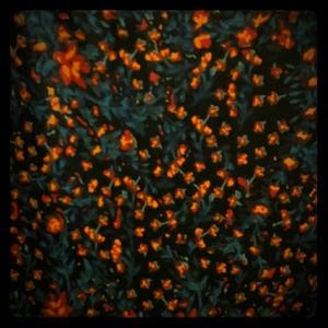 LuLaRoe Ana Dress XL